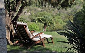 B&B La Murichessa